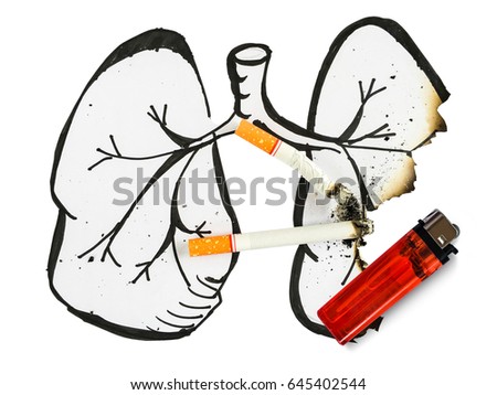 Drawing lungs has been burned by cigarettes imply cancer happen when people smoke and lighter placing around. No tobacco day, 31 May concept.