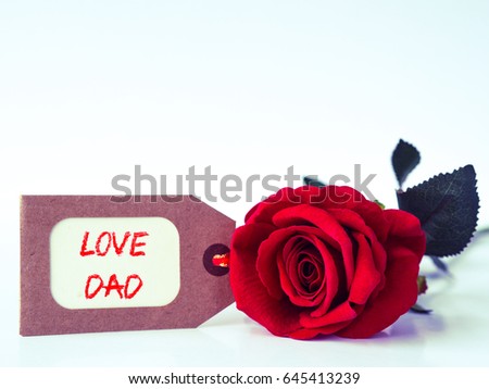 Father's day concept. LOVE DAD message with red rose on white background