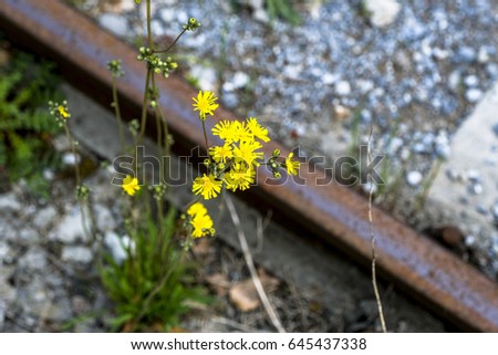 unused old railtrack