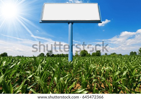 Empty billboard with copy space in a corn field with blue sky and sun rays
