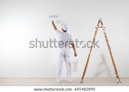 Rear view of painter man painting the wall, with paint roller and bucket, isolated on big empty space with wooden ladder Royalty-Free Stock Photo #645482890