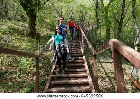 Group travelers travel on the artificial roadway In the forest of the mountains reserve. Trekking together. Active hikers