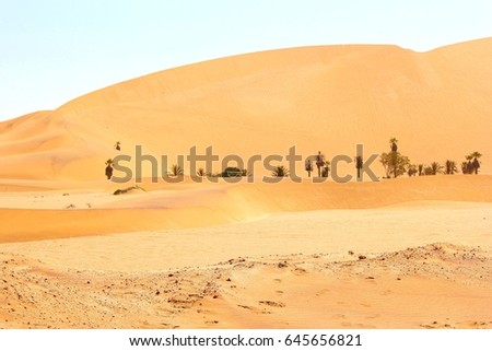 Desert sand dunes and palm trees in oasis, Namib Naukluft National Park, Namibia, Africa