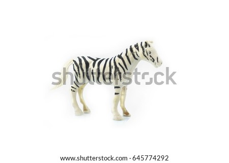 Zebra toy in white background