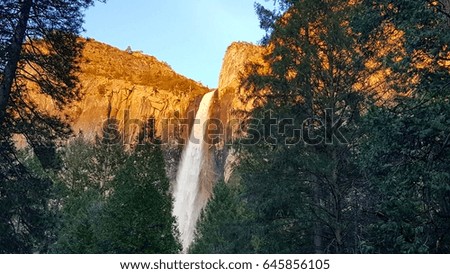 Majestic Yosemite Falls waterfall during the sunset through the trees with the colorful mountains at Yosemite National Park.