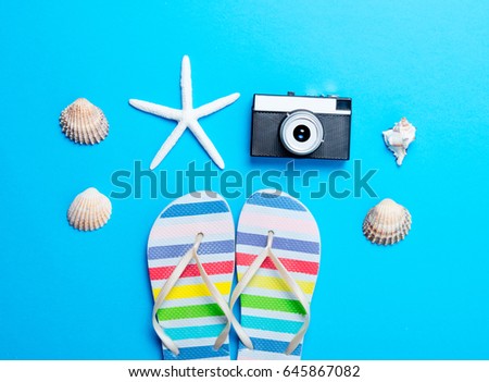 photo of colorful sandals, seashells, retro camera and dried starfish on the wonderful blue studio background