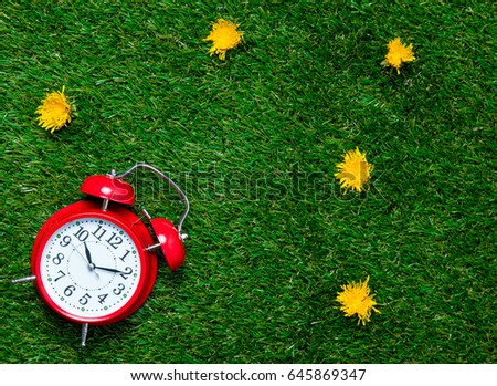 photo of beautiful alarm clock on the wonderful grass with dandelions background