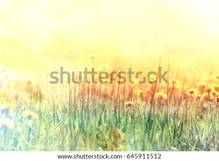 Photo of a miracle retro spring background with dandelions