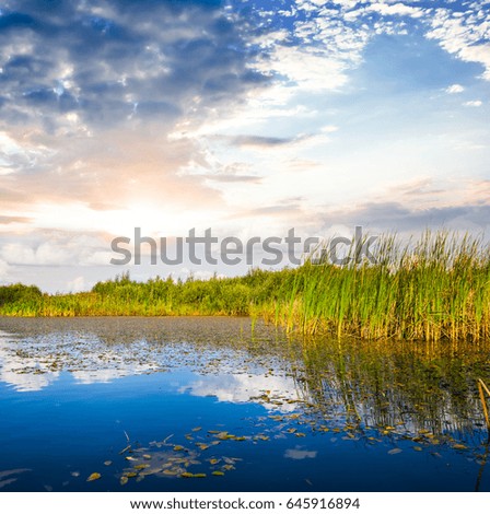 quiet summer lake at the sunset