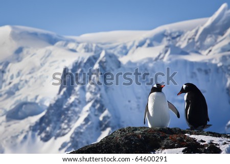 Two penguins dreaming sitting on a rock, mountains in the background