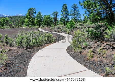 Sunset Crater Volcano National Monument, Arizona, USA. And this way short and easy for wheelchair accessible paved loop.