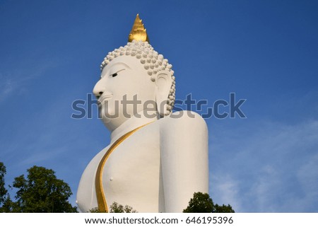 The large Buddha image in Thailand.
