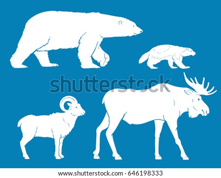 Arctic Land Animals Collection Royalty-Free Stock Photo #646198333