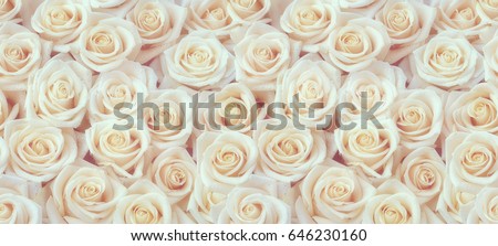 White roses horizontal seamless pattern. White roses arrangement. Royalty-Free Stock Photo #646230160
