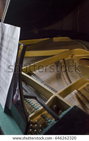 inside the piano: string, pins and hammers