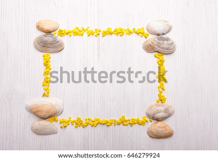 Decorative frame with seashells