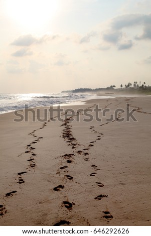 romantic Sri Lankan sunset and the footsteps on the sand