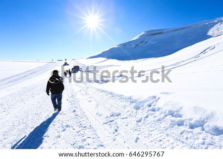 Walk in the snowy