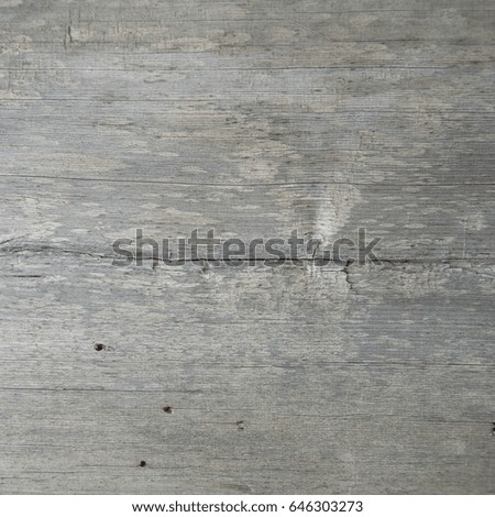 Gray wood texture. background old panels