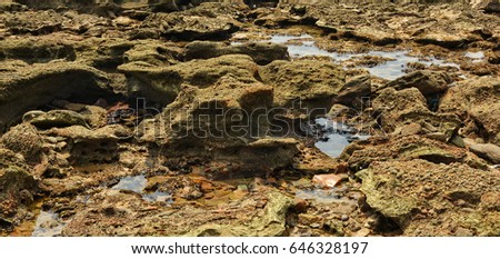 Beautiful seascape. Rocky coast at low tide. Calm and beauty of stunning ocean shore. Marine background. Wonderful image of ocean coast. 