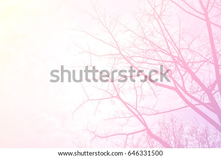Abstract Silhouette of a branch picture on a pastel background.Sweet Wallpaper ,soft natural background