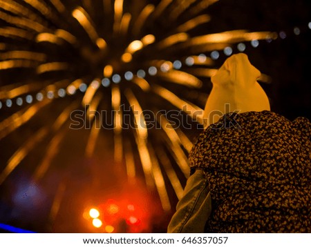 Little girl watching fireworks