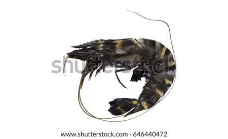 Isolated king tiger prawn on white background, with work path.