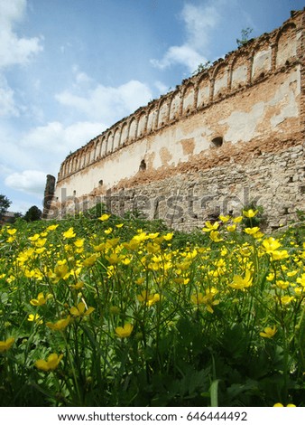 Ancient wall and yellow flowers          