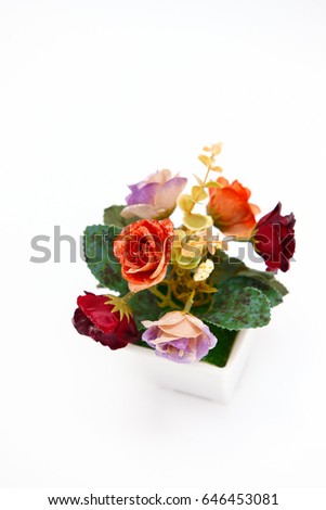 Red orange purple roses flowers on with background,Flowerpot,Colorful flowers.