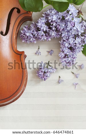 
Old Violin and lilac flowers  on white paper notes  background. Stringed musical instrument. Close up, top wiev, Love spring background. 