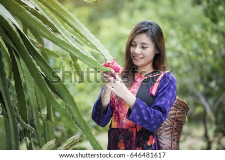Happy farmer in the field checking  plants during a sunny summer,Greengrocer organic fresh agricultural,Lisu women wear Lisu traditional dress to present them tribe in Thailand