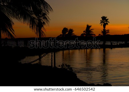 silhouette of palm tree with yellow and orange sun setting over palm trees and water