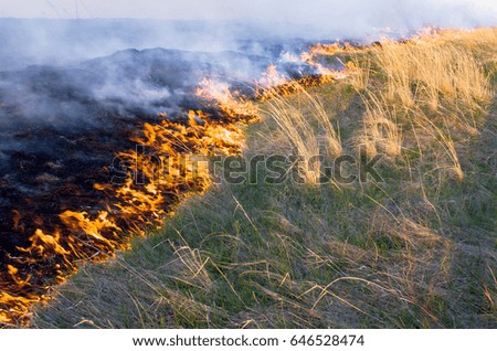 The fire front is moving across the field of dry grass, burns all.