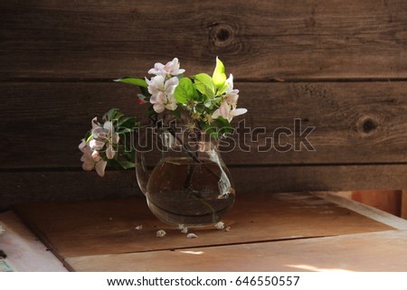 branch of Apple blossoms in a clear jar
