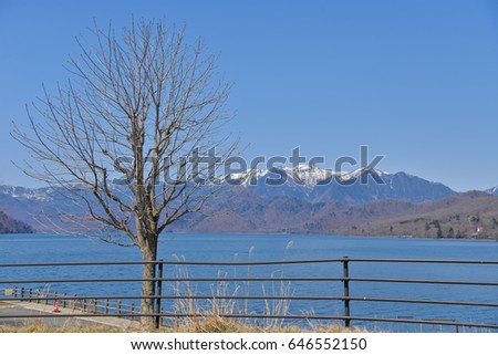 Dry tree with Chuzenji lake background