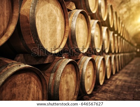 Wine barrels in wine-vaults in order Royalty-Free Stock Photo #646567627