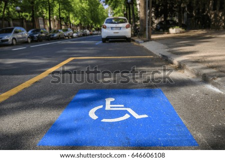 Road markings for disabled parking in a tree-lined avenue of an Italian city