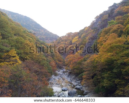 Bogyeongsa autumn leaves