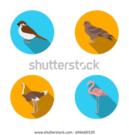 Sparrow and other species. Birds set collection icons in flat style vector symbol stock illustration web.