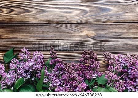 lilac flowers on rustic wooden background flat lay. top view of blooming and blossoms. hello spring. beautiful springtime image with pink petals and buds. greeting card