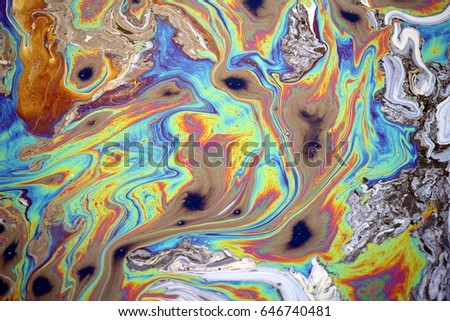 a photo of rainbow colored oil floating on water. natural.