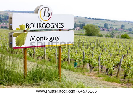 vineyards of Cote Chalonnaise region, Burgundy, France