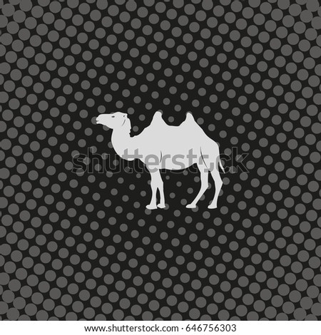 Camel flat icon. Animal illustration.