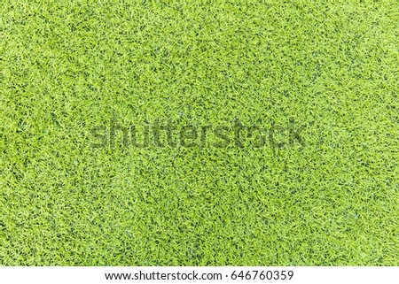 Clean background pictures of man-made green spaces. The football field's textured turf.