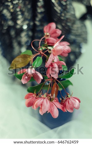 Spring flowering ornamental Apple trees. Wild Apple tree in a vase