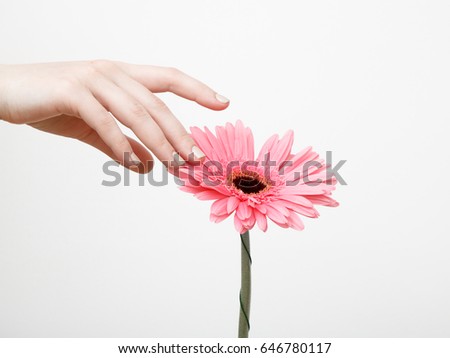 Minimal style. Minimalist fashion photography. Vintage. Glamour. Beautiful flower in girl's hand isolated on a white background