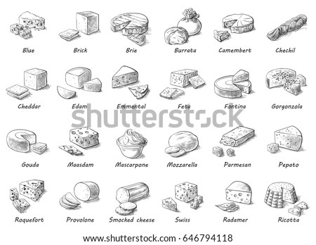 Graphic sketch of different cheeses. Vector set of realistic outline dairy products. Isolated curds collection used for logo design, recipe book, advertising cheese or restaurant menu. Royalty-Free Stock Photo #646794118