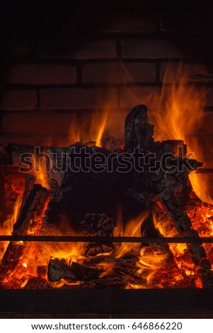Burning fire. Background