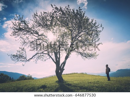 Man under big lonely tree in a carpathian mountain valley. Evening time. Instagram stylization.