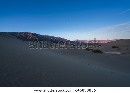  beautiful of The Mesquite Flat Sand Dunes in the morning. Death Valley National Park, California, USA.